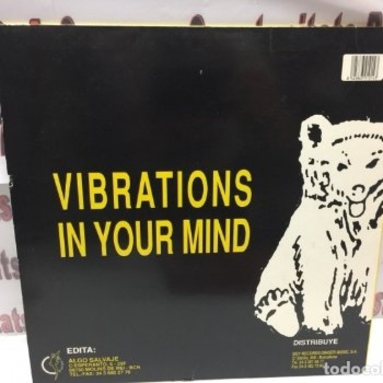 1 LP Vibratons in your Mind de Boy records Nau-B3