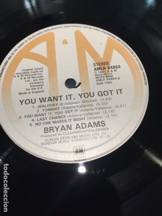 2 LP - BRYAN ADAMS - YOU WANT IT - YOU GO IT