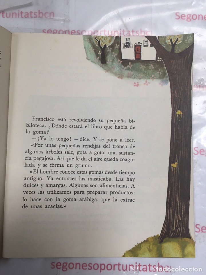 3 CUENTO INFANTIL QUÉ ES LA GOMA DE 1980 EDITORIAL TEIDE 2 EDICIÓN