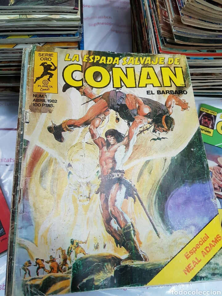 2 LOTE CASI COMPLETO - CONAN LA ESPADA SALVAJE - SERIE ORO