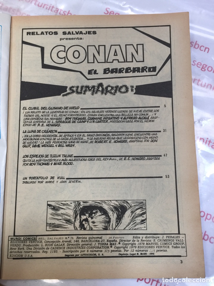 2 RELATOS SALVAJES CONAN EL BARBARO,EL CUBIL DEL GUSANO DE HIELO-COMICS VERTICE-ESPECIAL SERIE