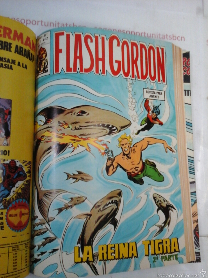 10 TOMO ÚNICO - FLASH GORDON - EDICIÓN VÉRTICE -V1.1974