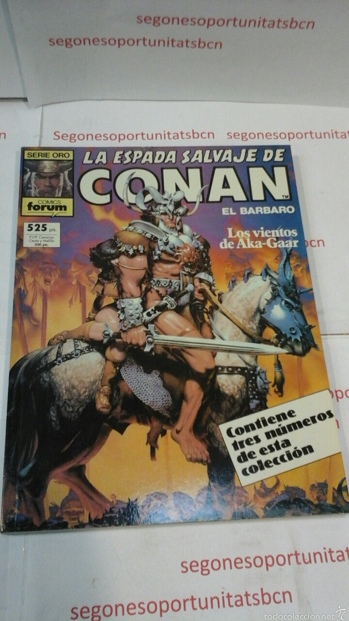 1 LA ESPADA SALVAJE DE CONAN - LOS VIENTOS DE AKA-GAAR - SERIE ORO -FORUM